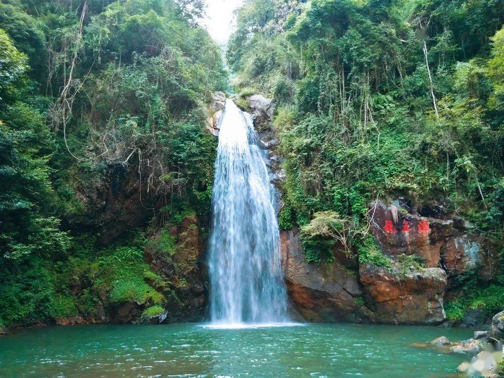 天井山林场最新项目，探索绿色发展的前沿阵地