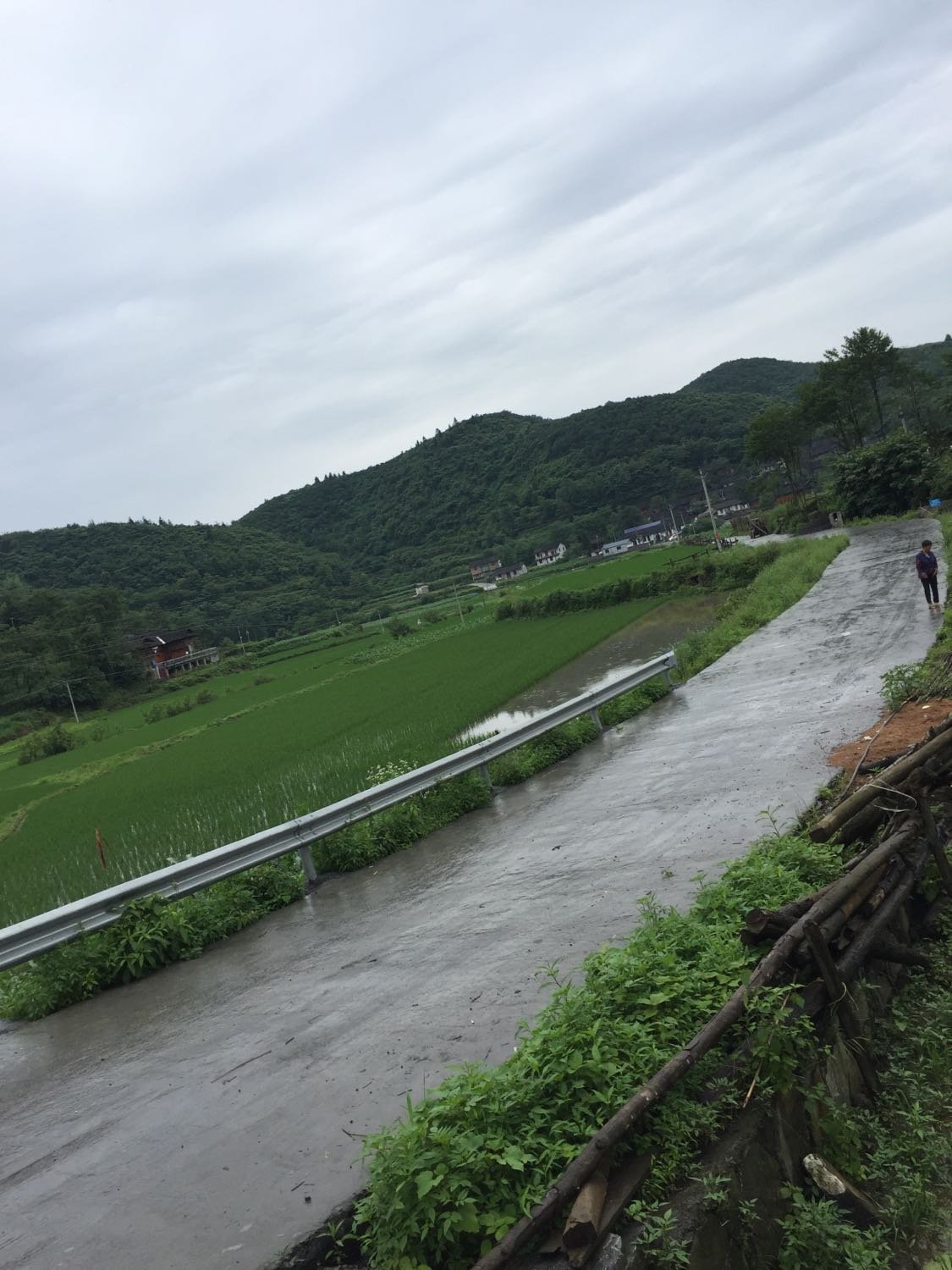 湘漓镇天气预报更新通知