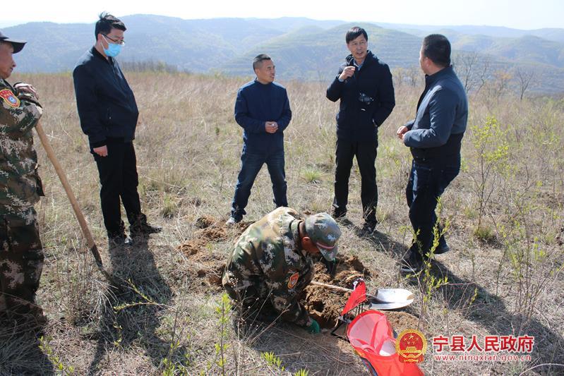 罗山府林场绿色发展先锋，最新新闻聚焦生态文明建设之路