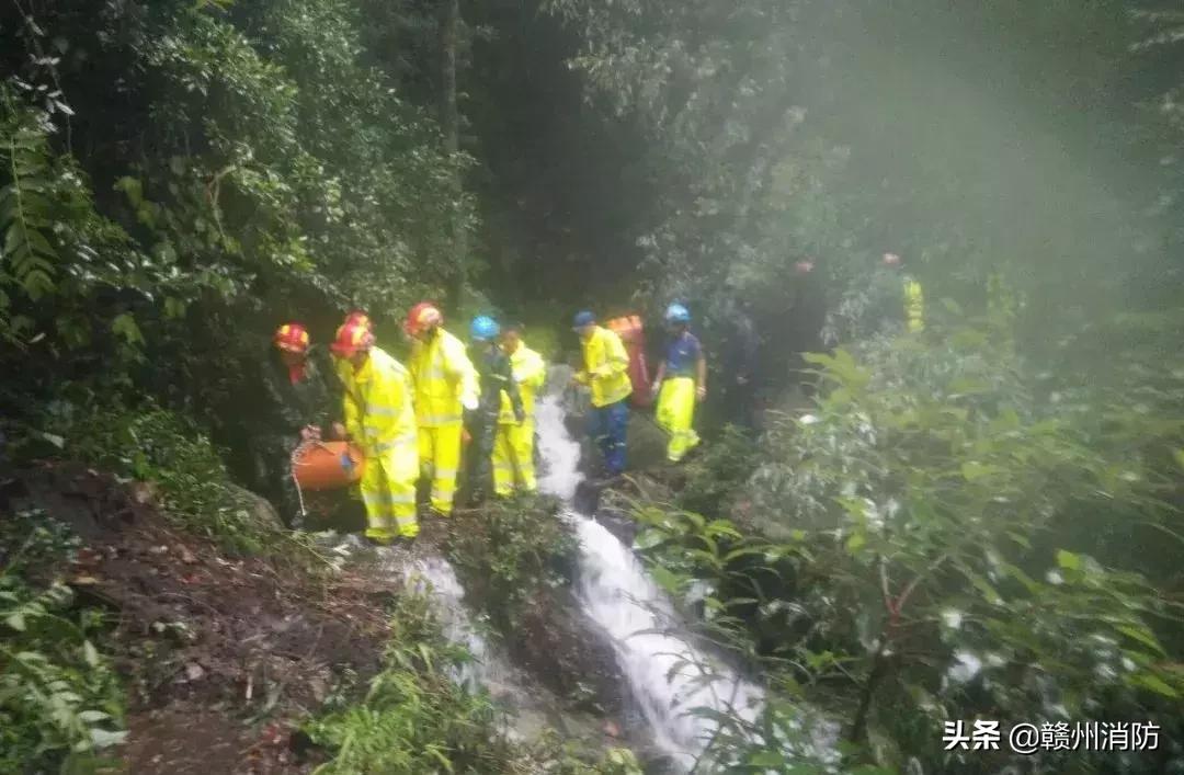 南康市医疗保障局最新项目研究与实践