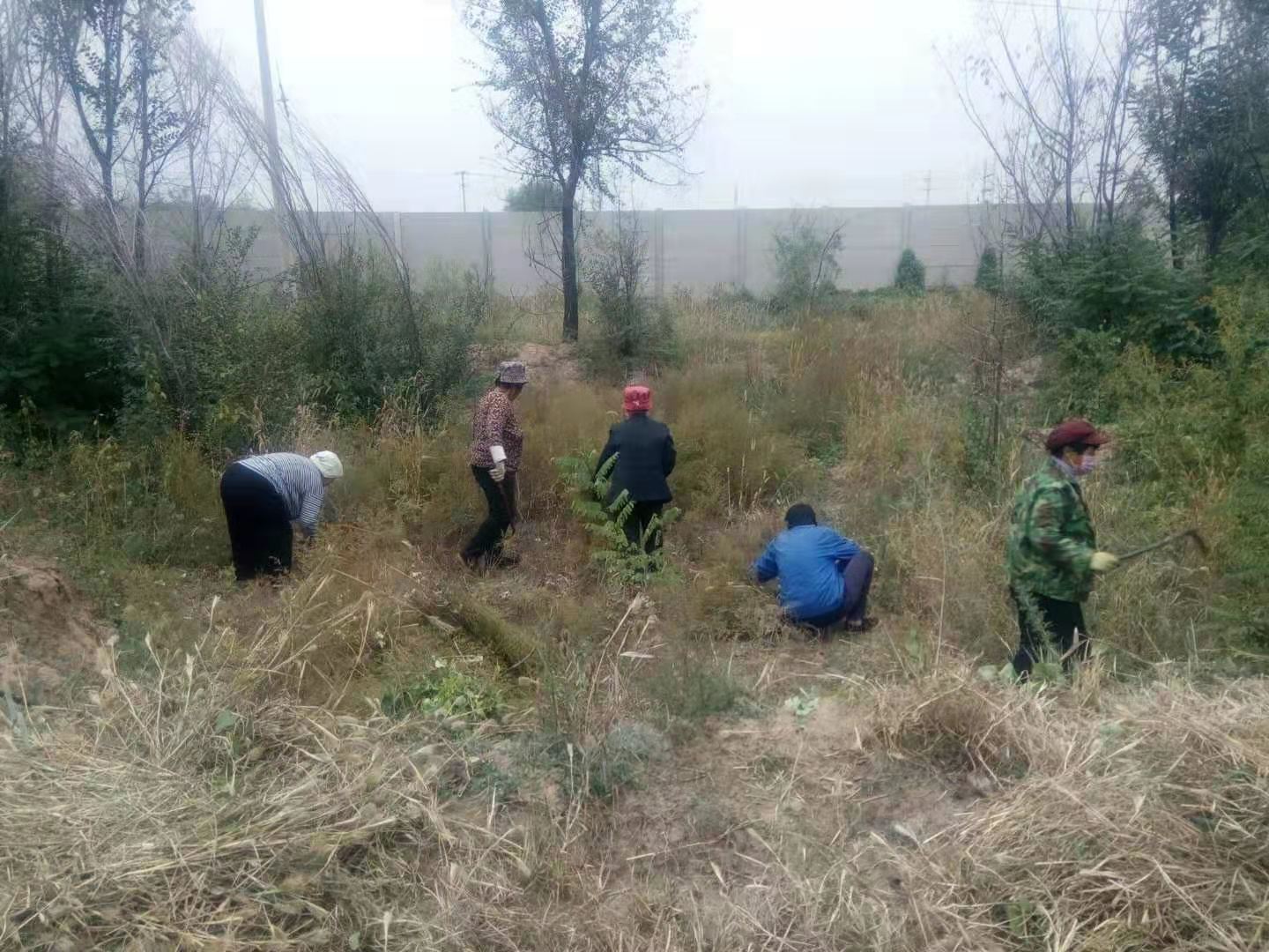 大麻森乡天气预报更新