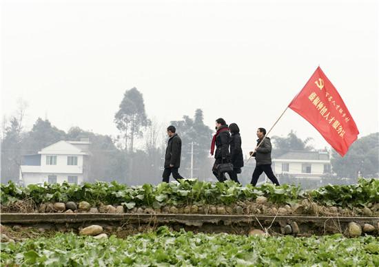 洪雅县图书馆最新动态报道