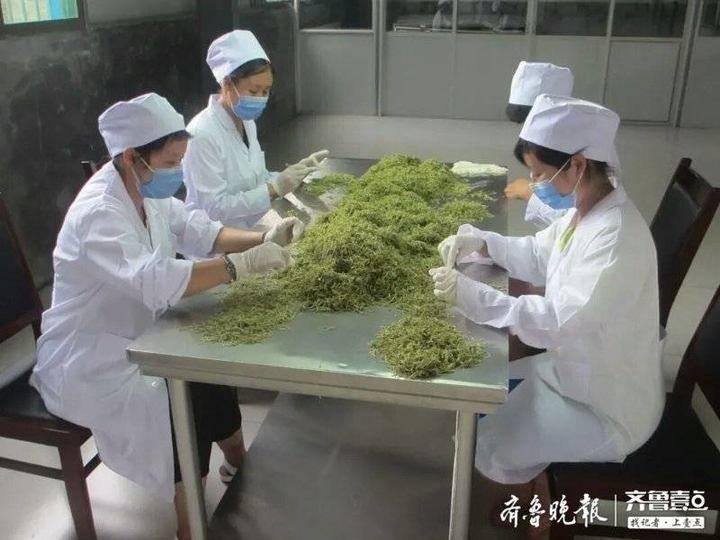 新汶街道最新领导及其领导下的新篇章