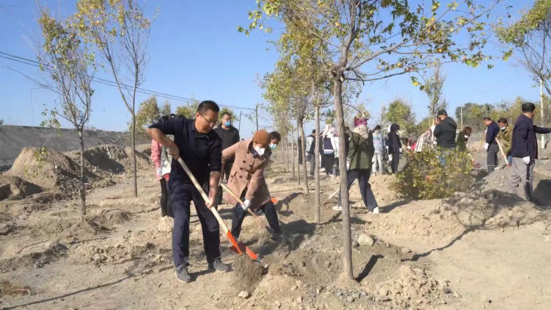 塔城地区市林业局最新项目，绿色生态建设的步伐与成果