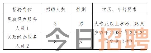 德宏傣族景颇自治州国税局最新招聘信息解读及应聘指南