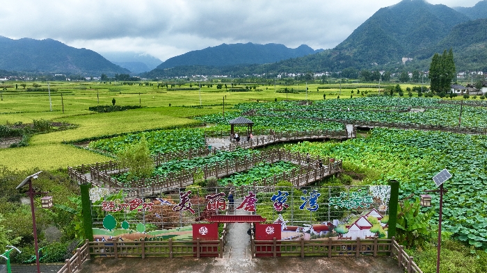 唐家湾村委会最新新闻，推动村庄发展，提升村民生活质量