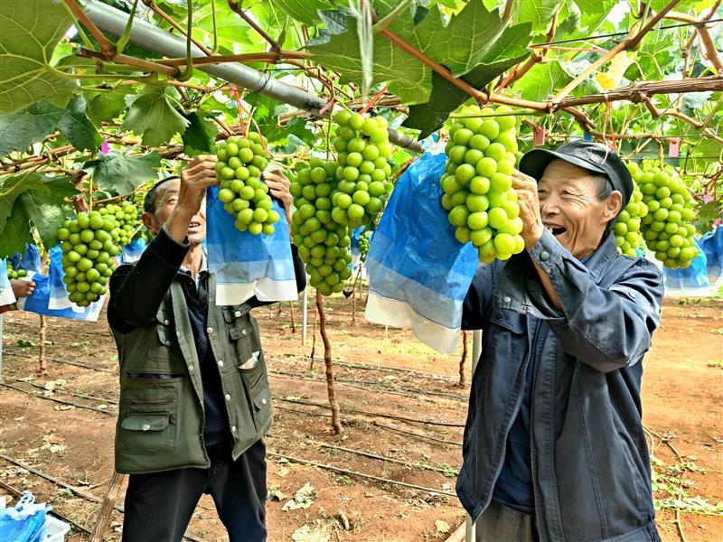 格依村新项目，乡村振兴的新动力