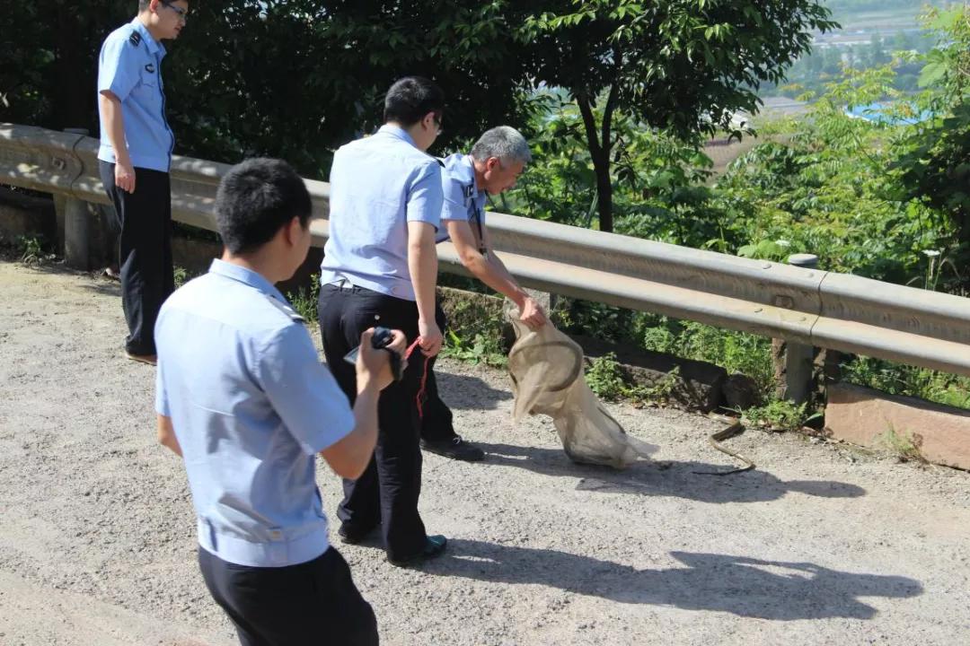 青山区公安局最新动态报道