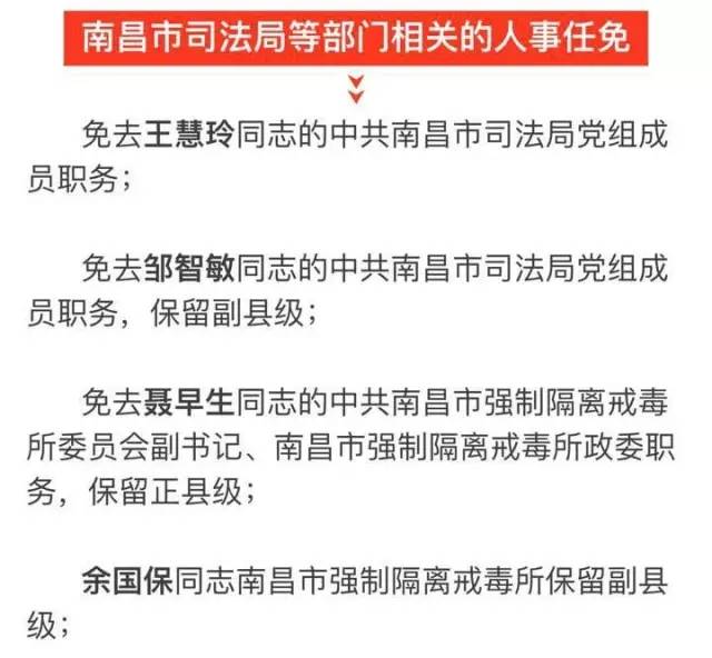 宝清县科技局人事任命激发创新活力，推动县域经济高质量发展新篇章