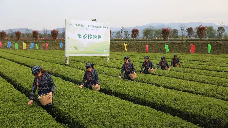 煎茶铺镇项目最新进展与未来前景展望