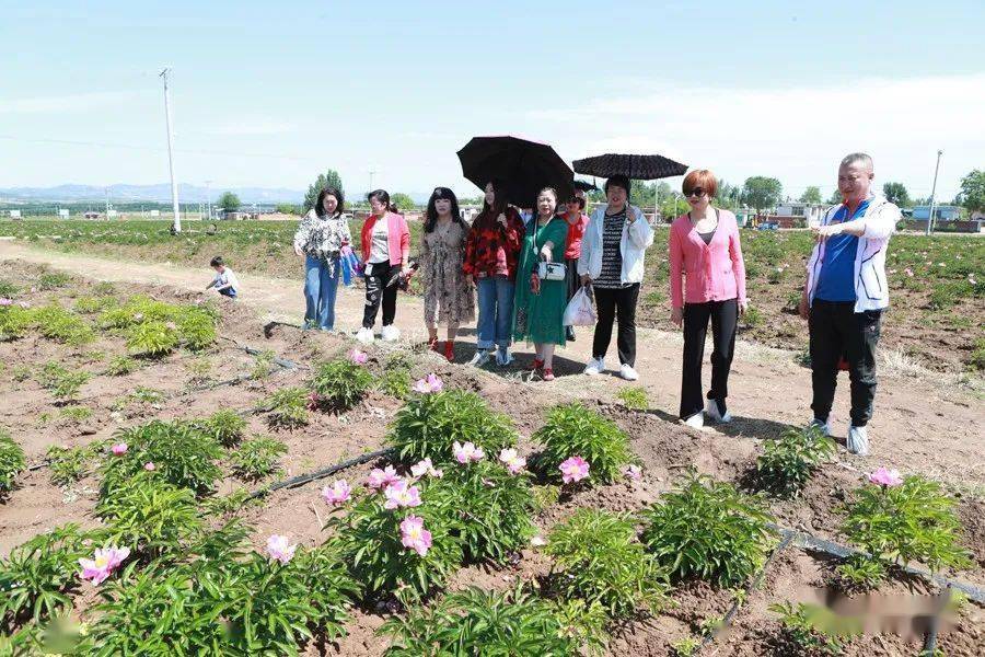 朝阳农场新领导团队引领农场迈向崭新辉煌